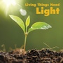 Cover: Living Things Need Light - Raintree Publishers