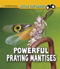 Cover: Powerful Praying Mantises - Raintree Publishers