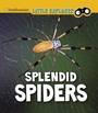 Cover: Splendid Spiders - Raintree Publishers