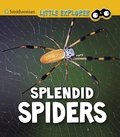 Cover: Splendid Spiders - Raintree Publishers