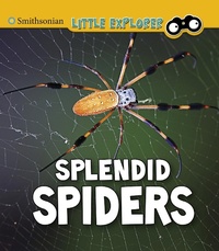Enlarge image Cover: Splendid Spiders - Raintree Publishers