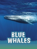 Cover: Blue Whales - Raintree Publishers