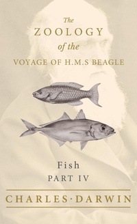 Abbildung von: Fish - Part IV - The Zoology of the Voyage of H.M.S Beagle - Read Books