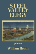 Cover: Steel Valley Elegy - Kelsay Books