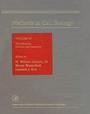Cover: The Zebrafish: Genetics and Genomics - Academic Press
