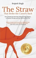 Cover: The Straw That Broke the Camel's Back - Biopsychosocial Publishing
