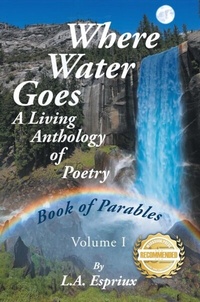 Abbildung von: Where Water Goes - L. A. Espriux