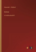 Cover: Schnee - Outlook Verlag