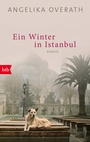 Cover: Ein Winter in Istanbul - btb