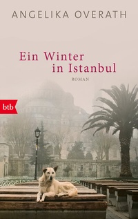 Abbildung von: Ein Winter in Istanbul - btb
