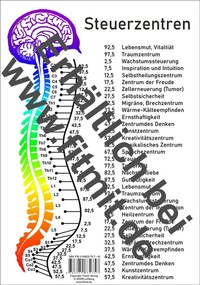 Abbildung von: Steuerzentren Wirbelsäule - Aeckersberg, Ingrid