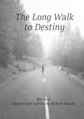 Cover: The Long Walk to Destiny - Wendiilou Publishing