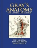 Cover: Gray's Anatomy - Arcturus