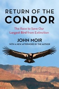 Cover: Return of the Condor - The Lyons Press
