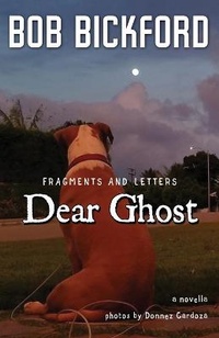 Enlarge image Cover: Dear Ghost - Paranormalice Press, LLC