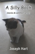 Cover: A Silly Book - Cyberwit.Net