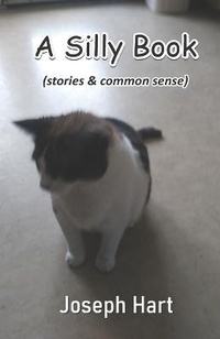 Enlarge image Cover: A Silly Book - Cyberwit.Net