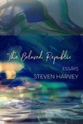 Cover: The Beloved Republic - Wandering Aengus Press