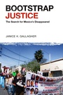 Cover: Bootstrap Justice - OUP eBook