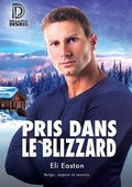 Cover: Pris dans le blizzard - Dreamspinner Press