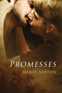 Enlarge image Cover: Promesses - Dreamspinner Press
