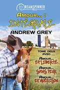 Cover: Amour... : Int&eacute;grale tome 2 - Dreamspinner Press