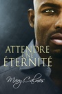 Cover: Attendre une éternité - Dreamspinner Press