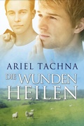 Cover: Die Wunden heilen - Dreamspinner Press
