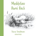 Cover: Meddyliau Bwni Bach - Graffeg Bach