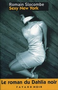Cover: Sexy New York - Fayard