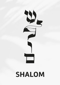 Cover: Notizbuch "Shalom" - SCM