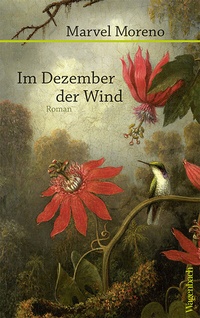 Abbildung von: Im Dezember der Wind - Wagenbach