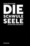 Abbildung von: Die schwule Seele - Luftschacht