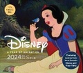 Cover: 2024 Daily Cal: Disney - Chronicle Books