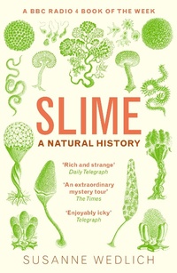 Enlarge image Cover: Slime - GRANTA BOOKS
