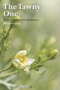 Cover: The Tawny One - Aeon Academic
