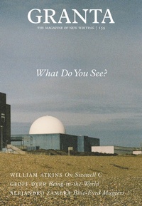 Enlarge image Cover: Granta 159: What Do You See? - Granta Magazine