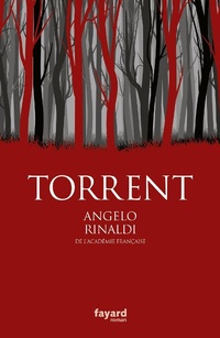 Enlarge image Cover: Torrent - Fayard