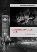 Cover: GEHEIMNISVOLLE JUNE - BookRix