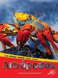 Cover: Artropodos - Discovery Library