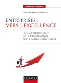 Cover: Entreprises : vers l'excellence - Dunod