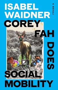 Abbildung von: Corey Fah Does Social Mobility - Hamish Hamilton Ltd