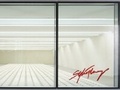 Cover: Sylvie Fleury - JRP Editions