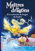 Cover: Ma&icirc;tres des dragons, Tome 07 - Bayard Jeunesse