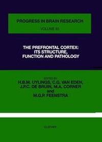 Abbildung von: The Prefrontal Cortex - Elsevier