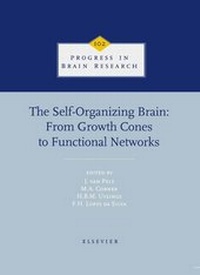 Abbildung von: The Self-Organizing Brain - Elsevier