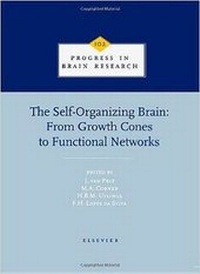 Abbildung von: The Self-Organizing Brain: From Growth Cones to Functional Networks: Volume 102 - Elsevier