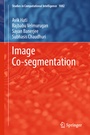 Cover: Image Co-segmentation - Springer