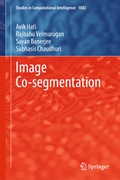 Cover: Image Co-segmentation - Springer