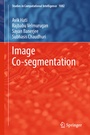 Cover: Image Co-segmentation - Springer